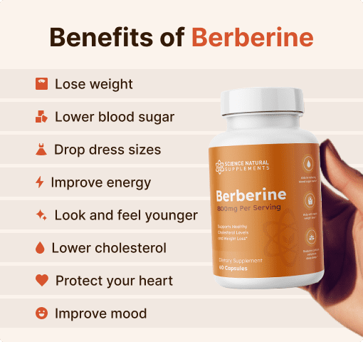 Berberine B1G2 Benefites