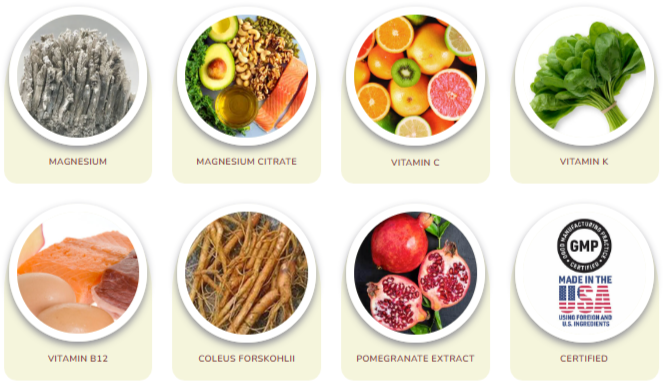 HydroLean XT Gold Ingredients