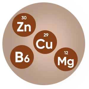 Zinc, Copper, Magnesium, B6